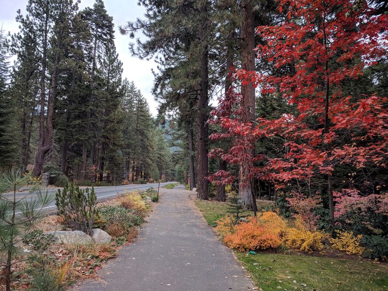 Lake Edge Awareness In Incline Village And Crystal Bay