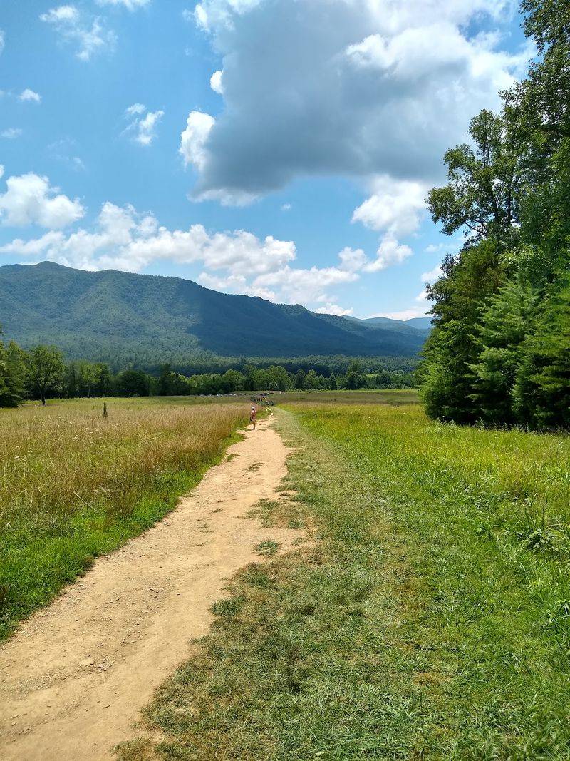 Cades Cove Loop Road, Townsend