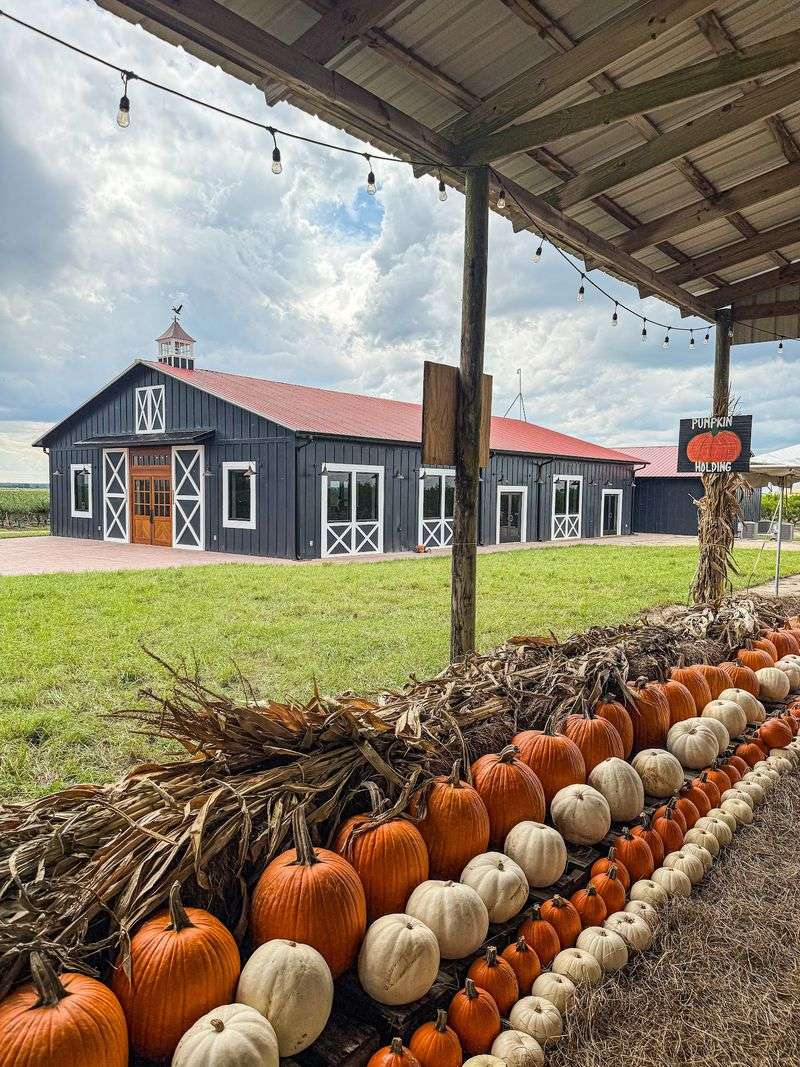 Southern Hill Farms