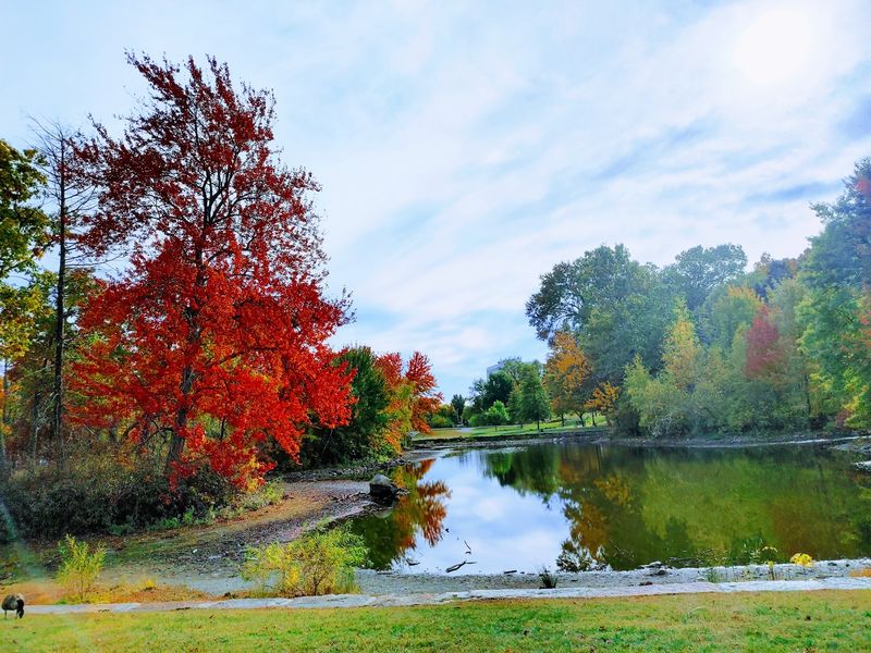 Elm Park (Newton Hill), Worcester