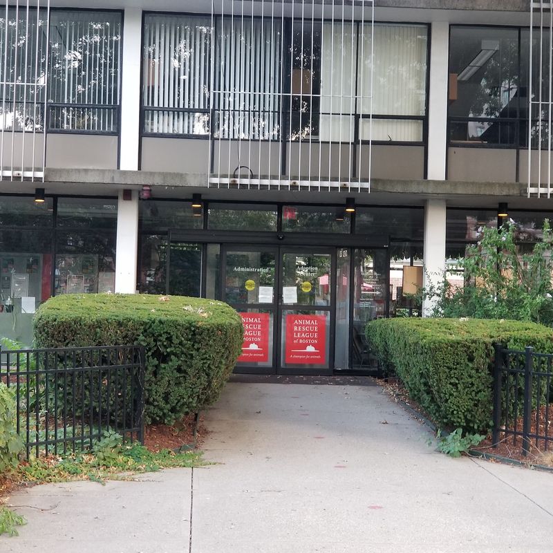 Animal Rescue League Of Boston