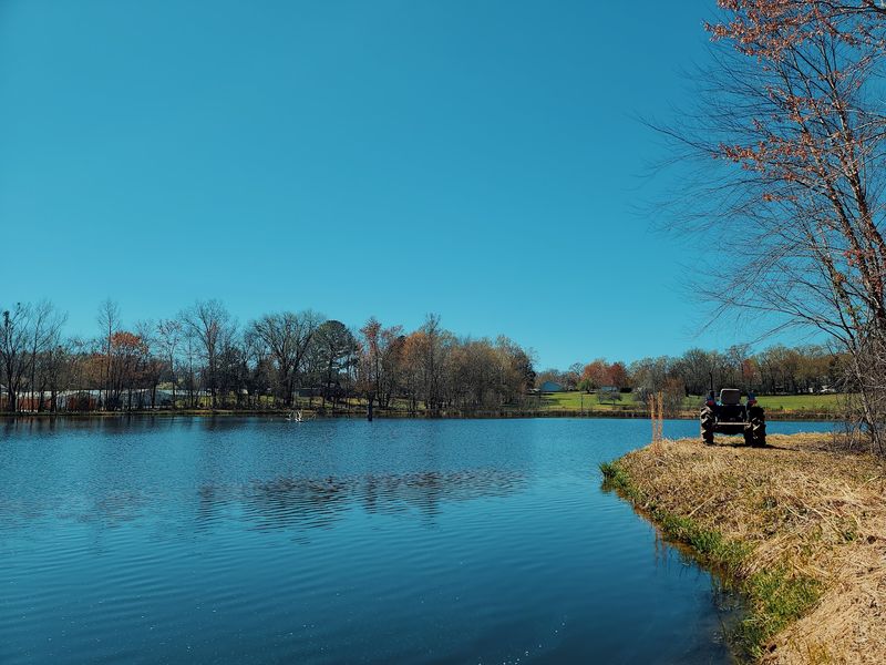 Paris (Kentucky Lake)