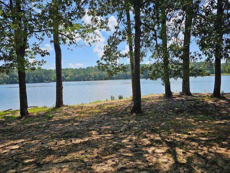 Pine Shade, Open Water, And The Feel Of The Place