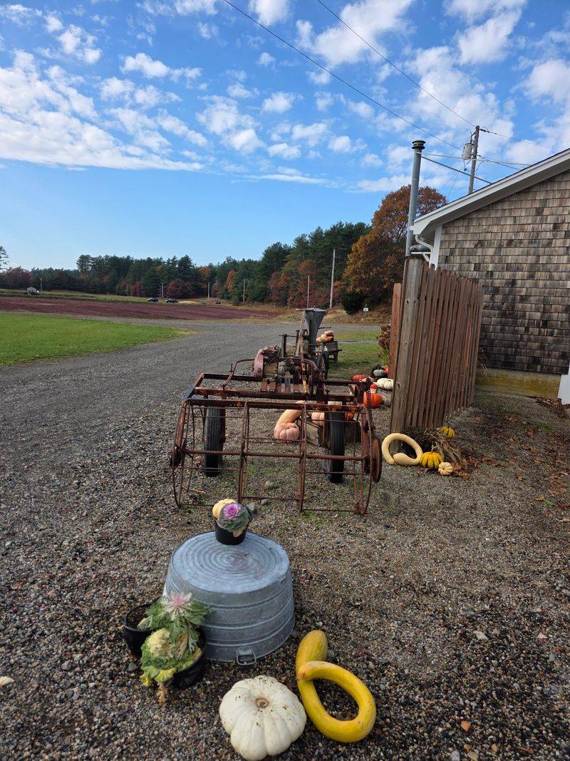 Harvest Festival Fun With Wagon Rides And Antique Tractors