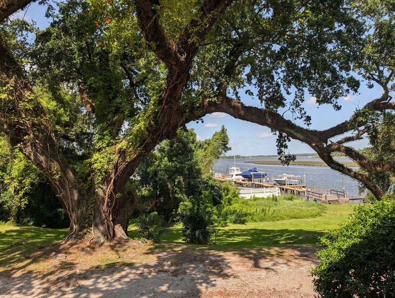 Bayou Views Framed By Live Oaks