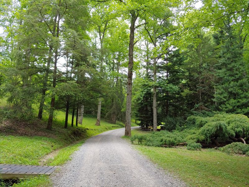 How A Working Tree Laboratory Became A Family Walk