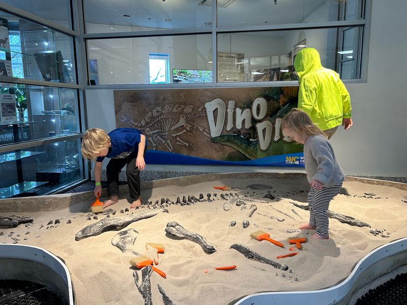 Digging For Bones In The Dino-Dig Sand Pit
