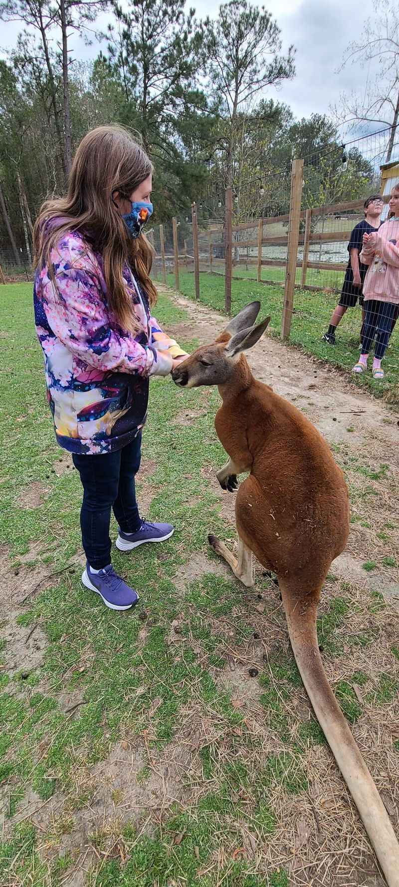 How A Traveling Petting Zoo Grew Roots