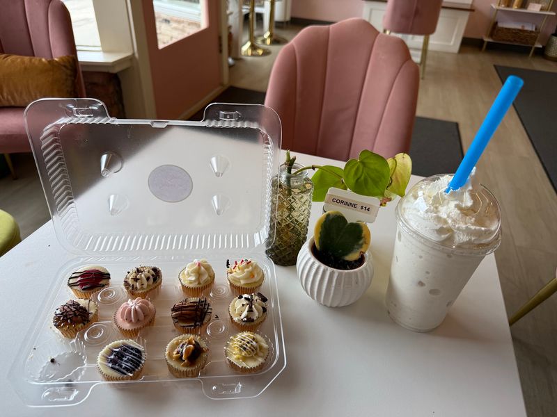 Mini Cheesecakes That Make Choosing Almost Impossible
