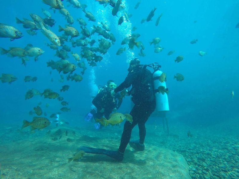 Snorkeling Without The Ocean Crowds
