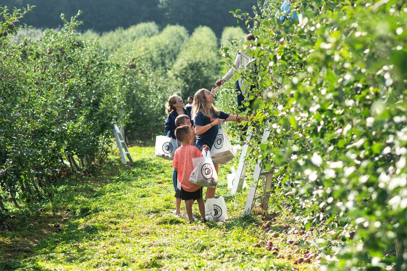Picking Your Own Among 300,000 Trees