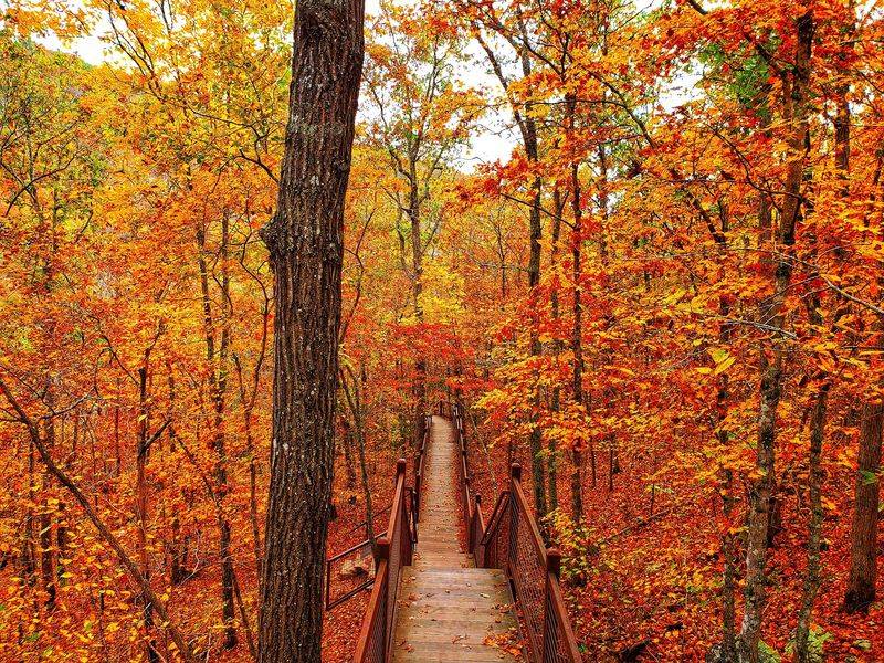 Plan Your Perfect Ozark Getaway