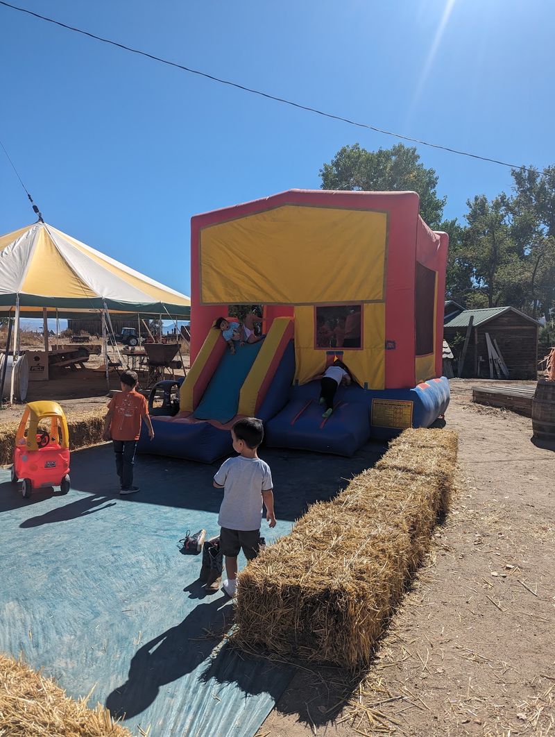 Hayrides, Bounce Houses, And The Corn Launcher