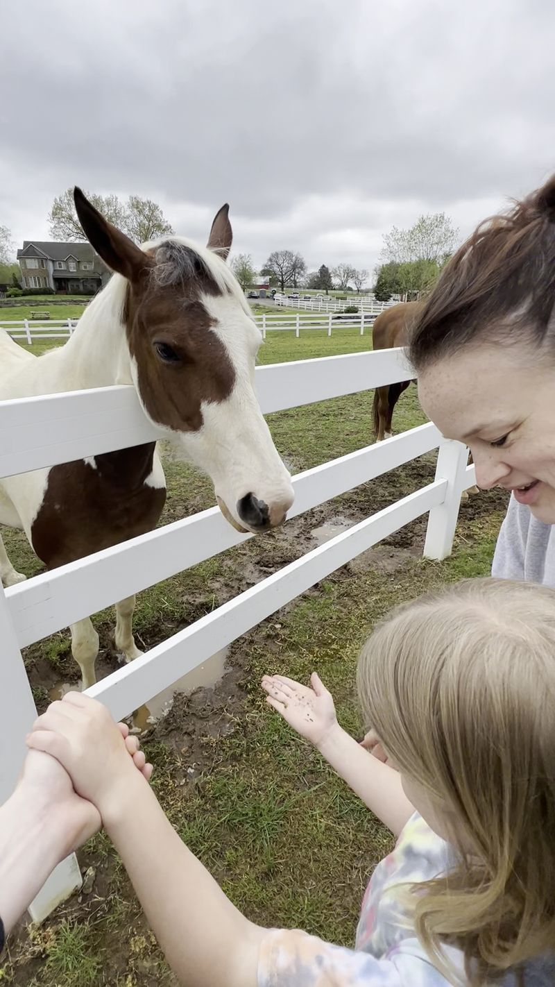 How a Rescue Sanctuary Took Root in Rutherford County