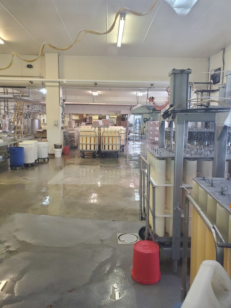 Watch Cheese Being Made Through The Window