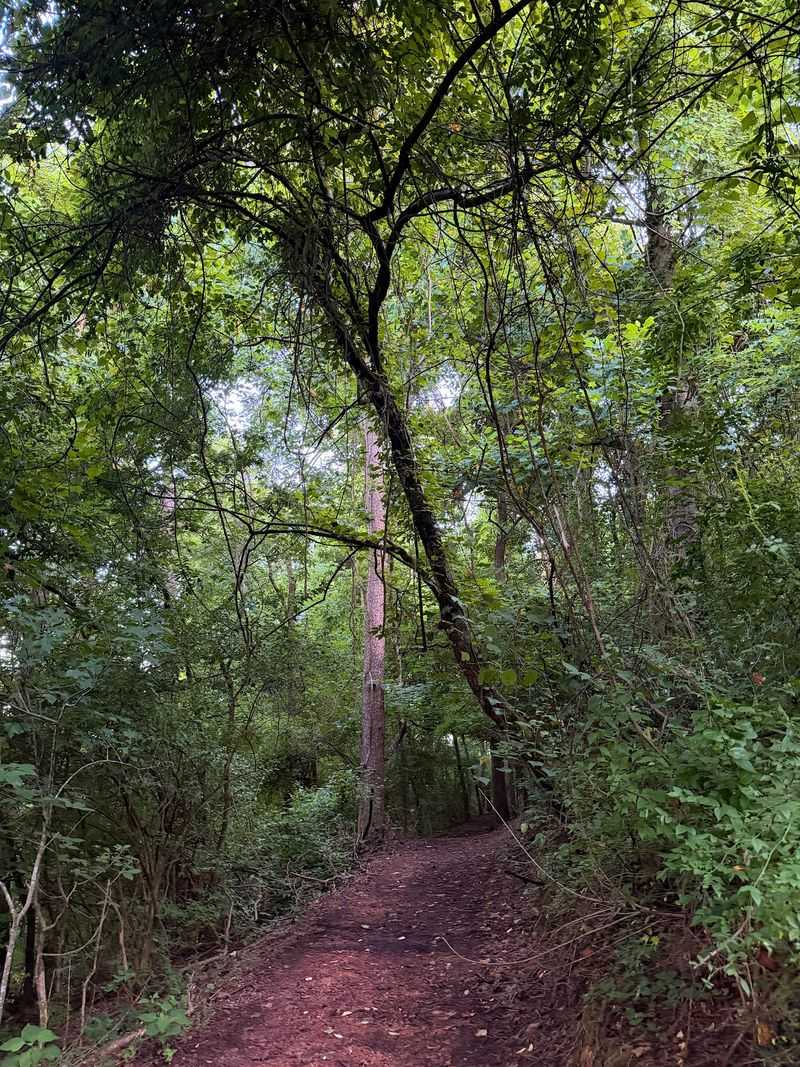 How Story Walks Landed In Middle Tennessee
