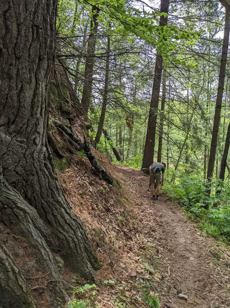 Miles Of Trails That Fit Every Pair Of Legs In Your Group