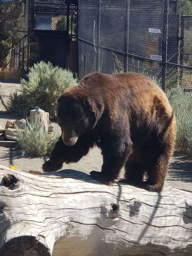 Timing Is Everything In The High Desert