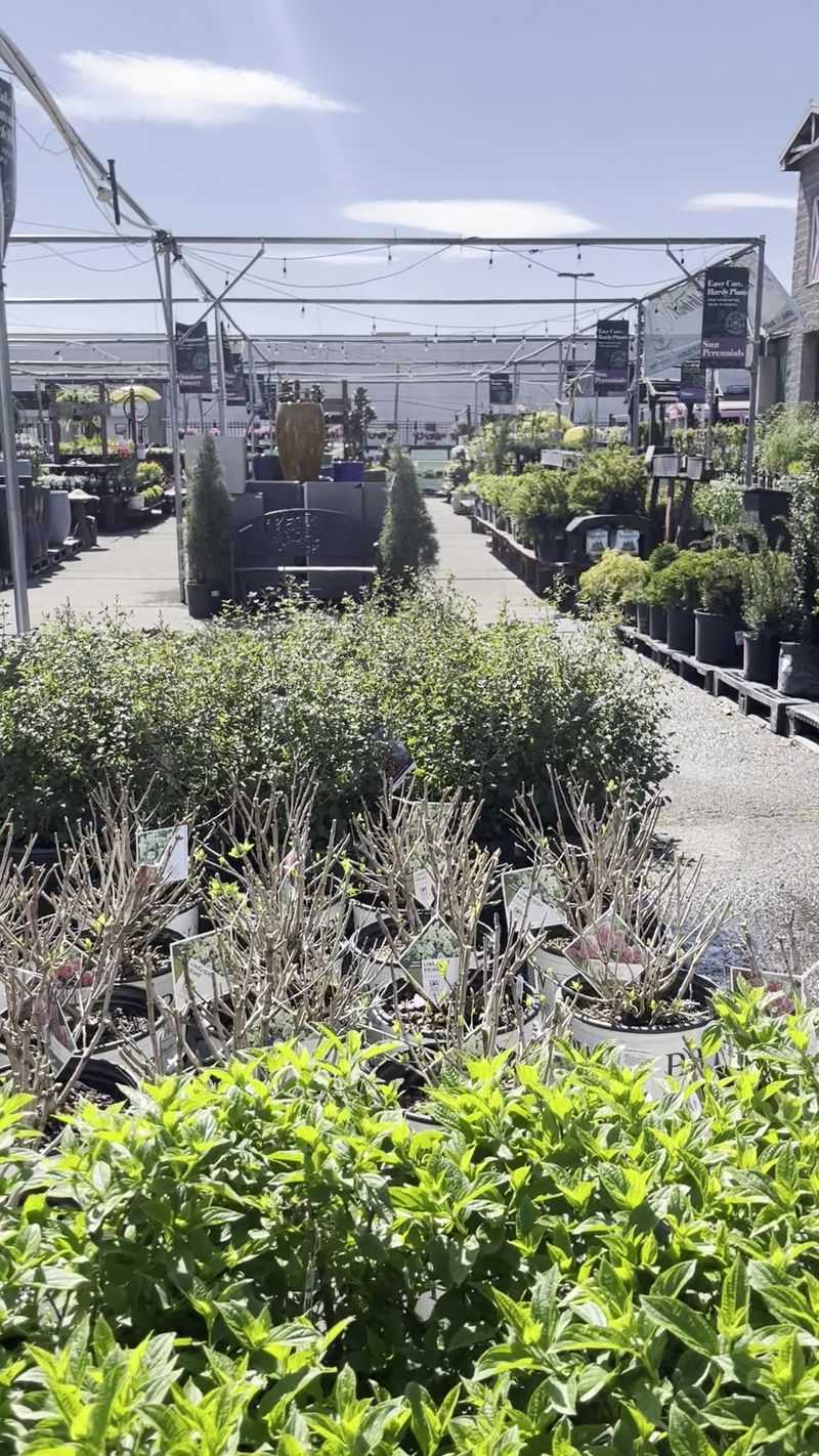 Room To Roam Across 27,000 Square Feet