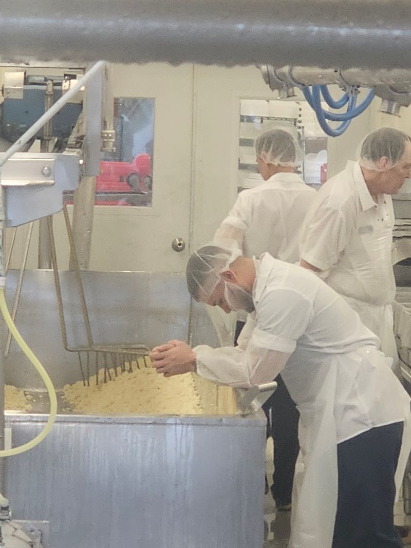 Watch Cheese Being Made Through The Viewing Windows