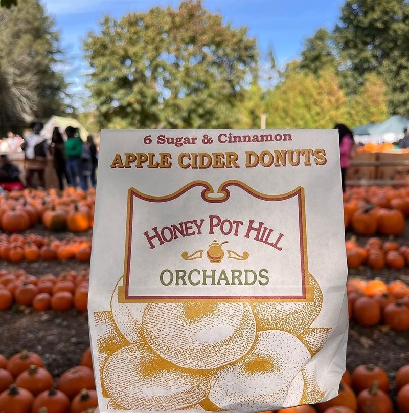 Cider Donuts Worth The Line