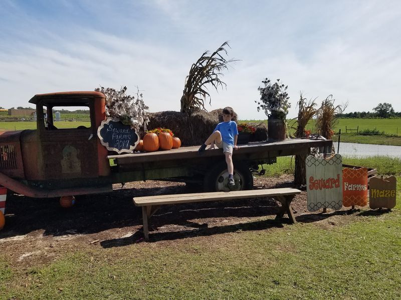 Seward Farms Puts Lucedale On The Fall Map