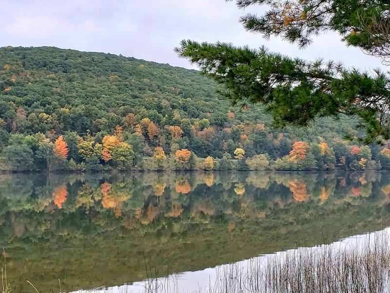 Meet Allegany State Park In Salamanca