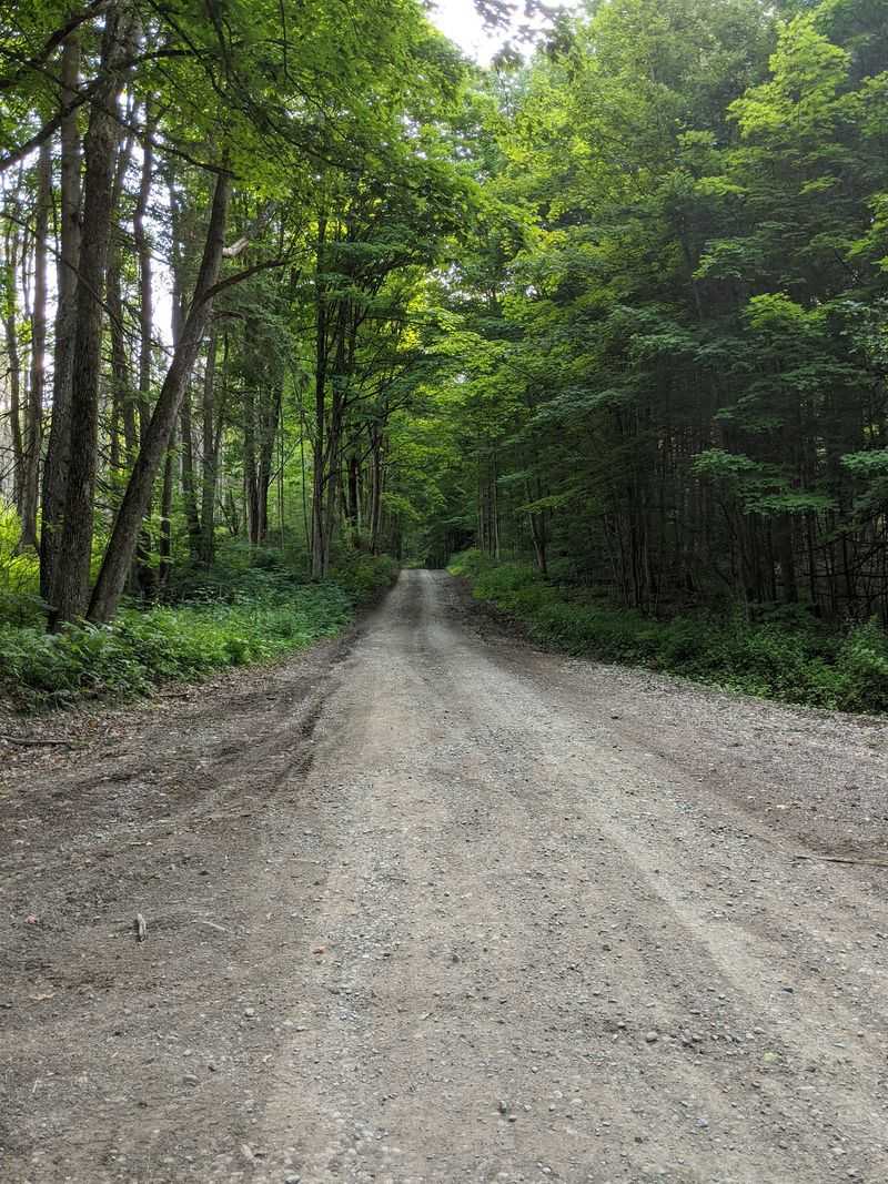 Meet Happy Valley, Oswego County's Hidden Wild
