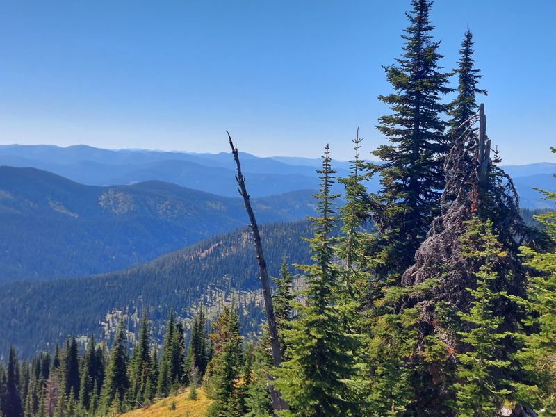 Selway-Bitterroot Wilderness And Its Quiet Miles