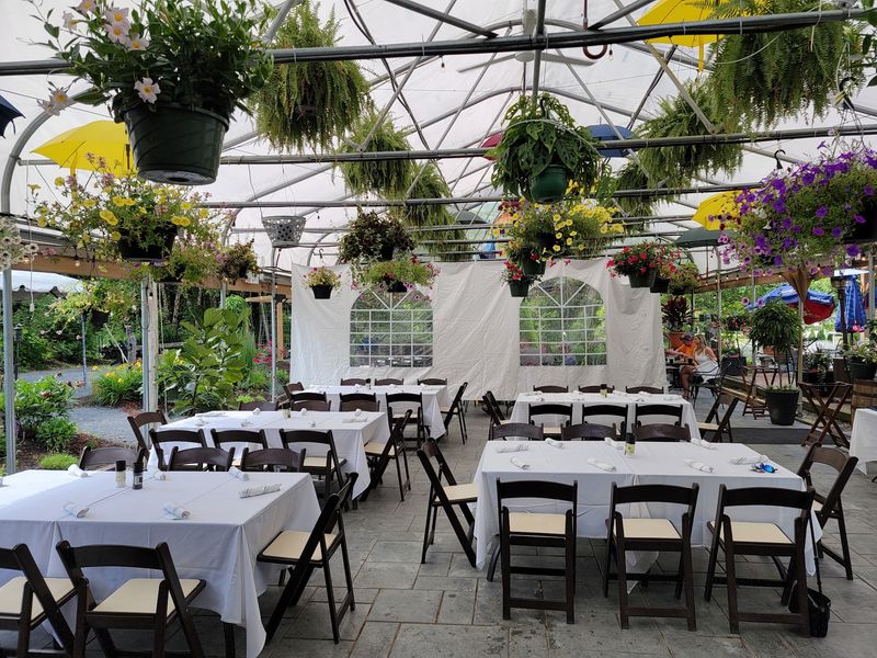 Sunday Brunch Under Glass Walls