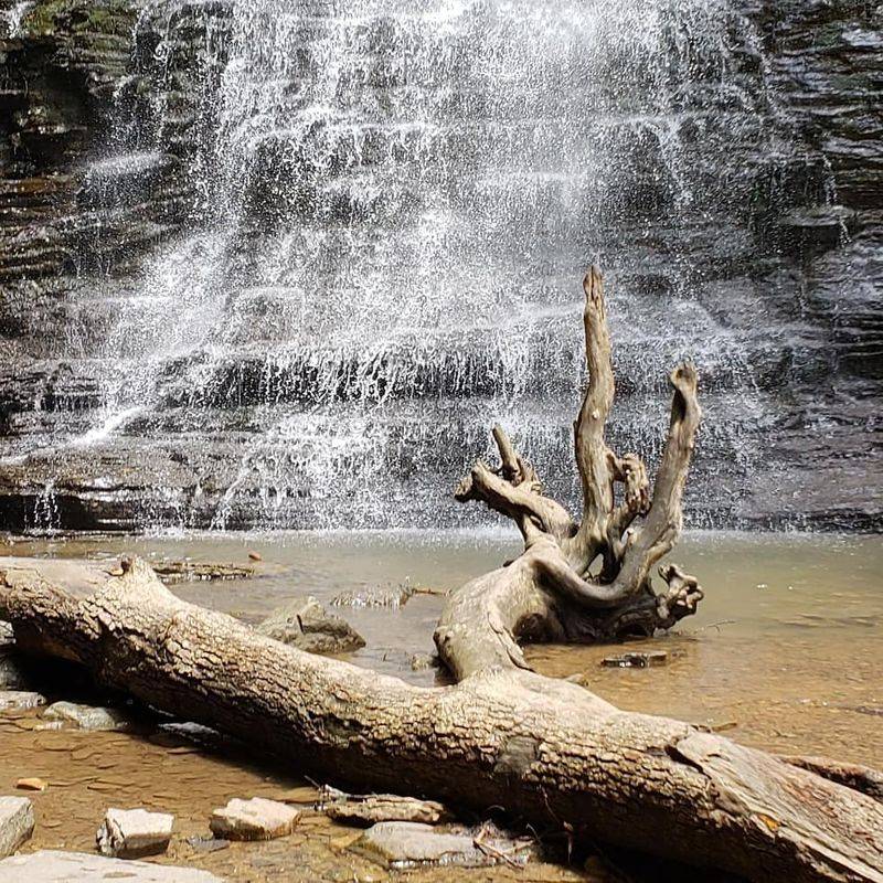 Sandstone Falls Steals The Show