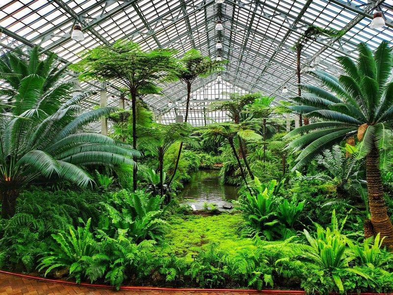 How A Public Park Ended Up With A World-Famous Greenhouse