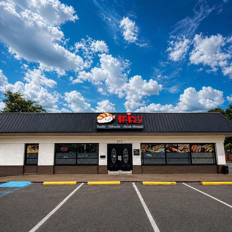 Meet Mizu On US 49 In Gulfport