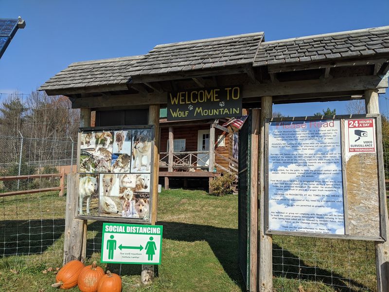 Meet Wolf Mountain Nature Center In Smyrna