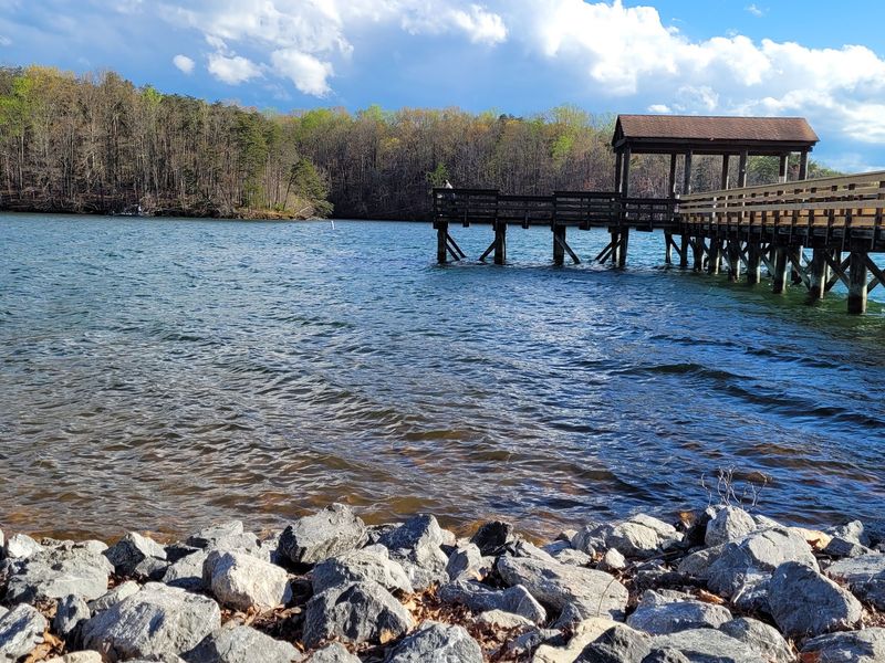 Northern Watersnakes Rule The Shoreline