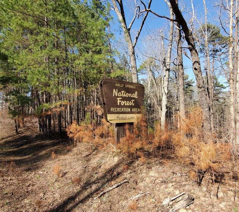 Puskus Lake Recreation Area And How To Find It