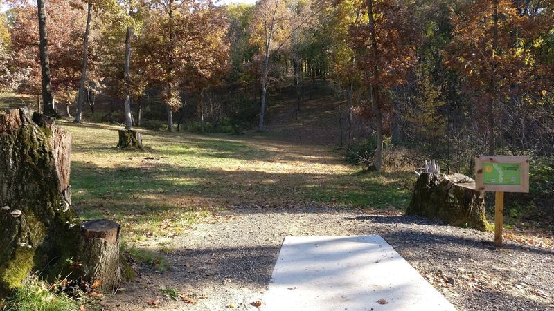 Trails, Bikes, And Ways To Burn Off Energy