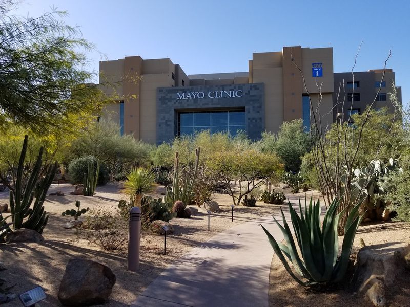 Mayo Clinic's Desert Oasis Of Excellence