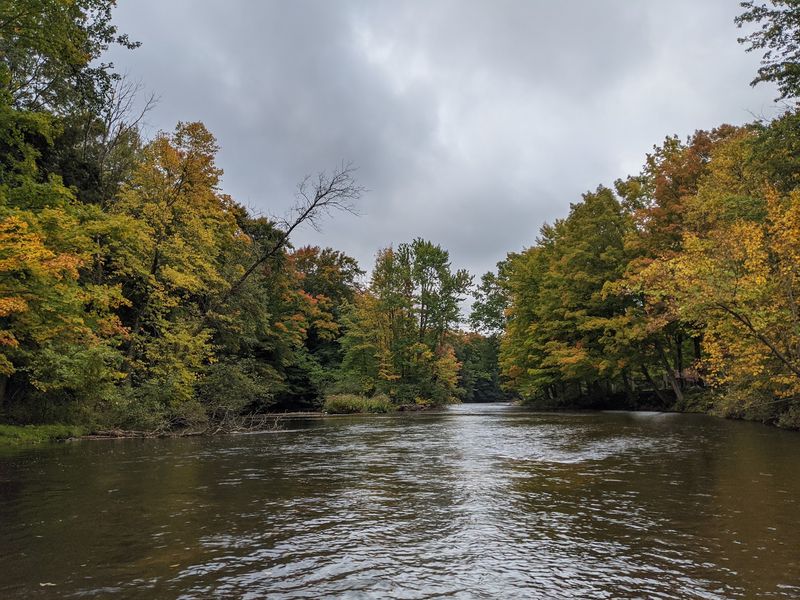 Why Hungry Bears Show Up In October