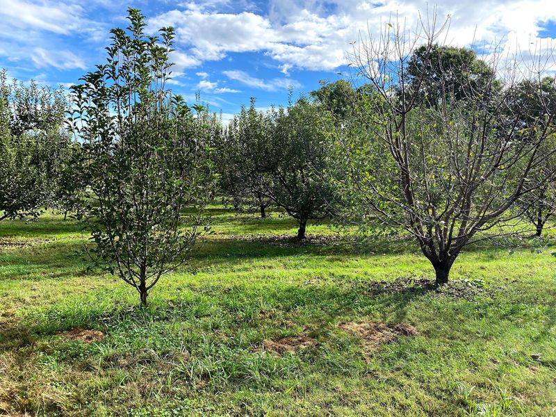 From One Cornfield To Six Generations Of Growers
