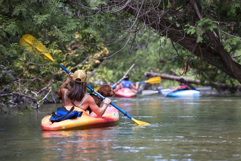 Paddle, Float, Swim, Repeat