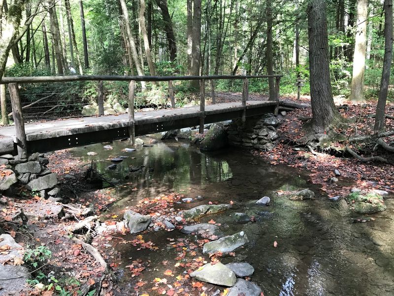 The Ten-Minute Walk, Step by Step