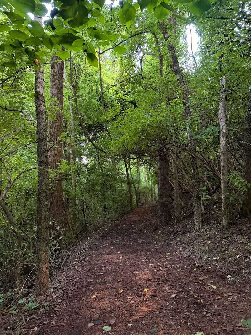 A County Park Path That Doubles As A Picture Book
