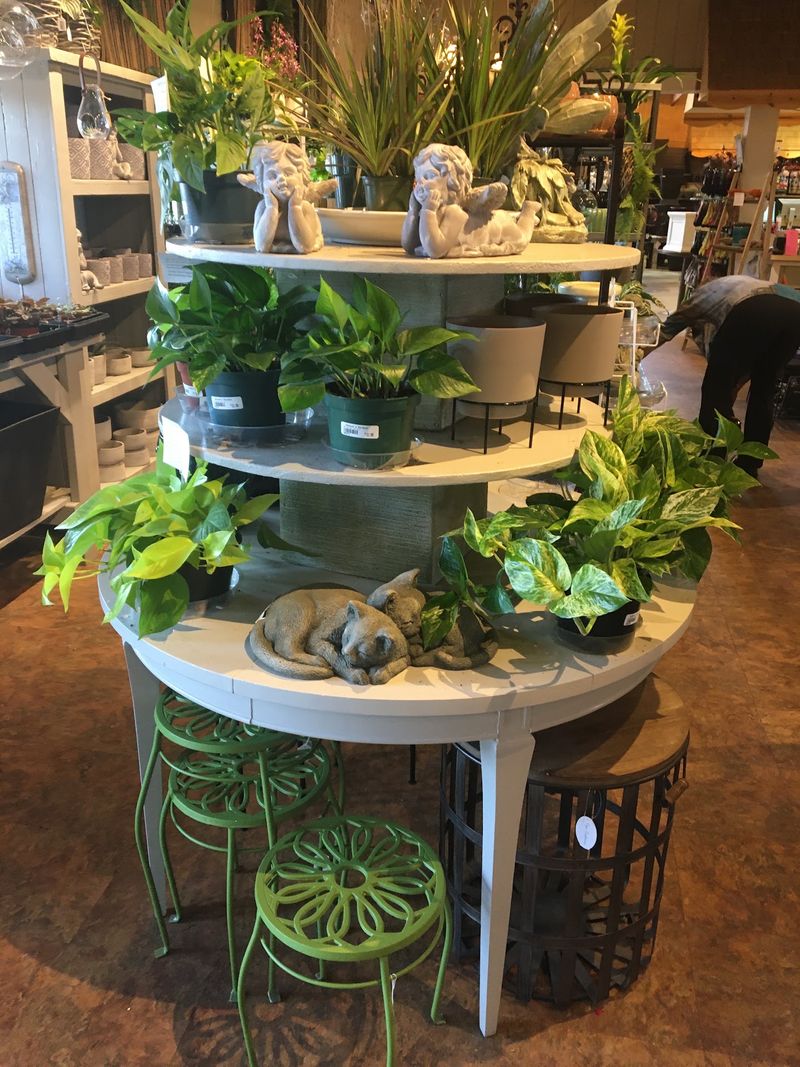 Staff Who Answer Plant Questions Without Making You Feel Silly