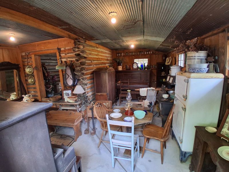 Family Roots And Pine Belt History