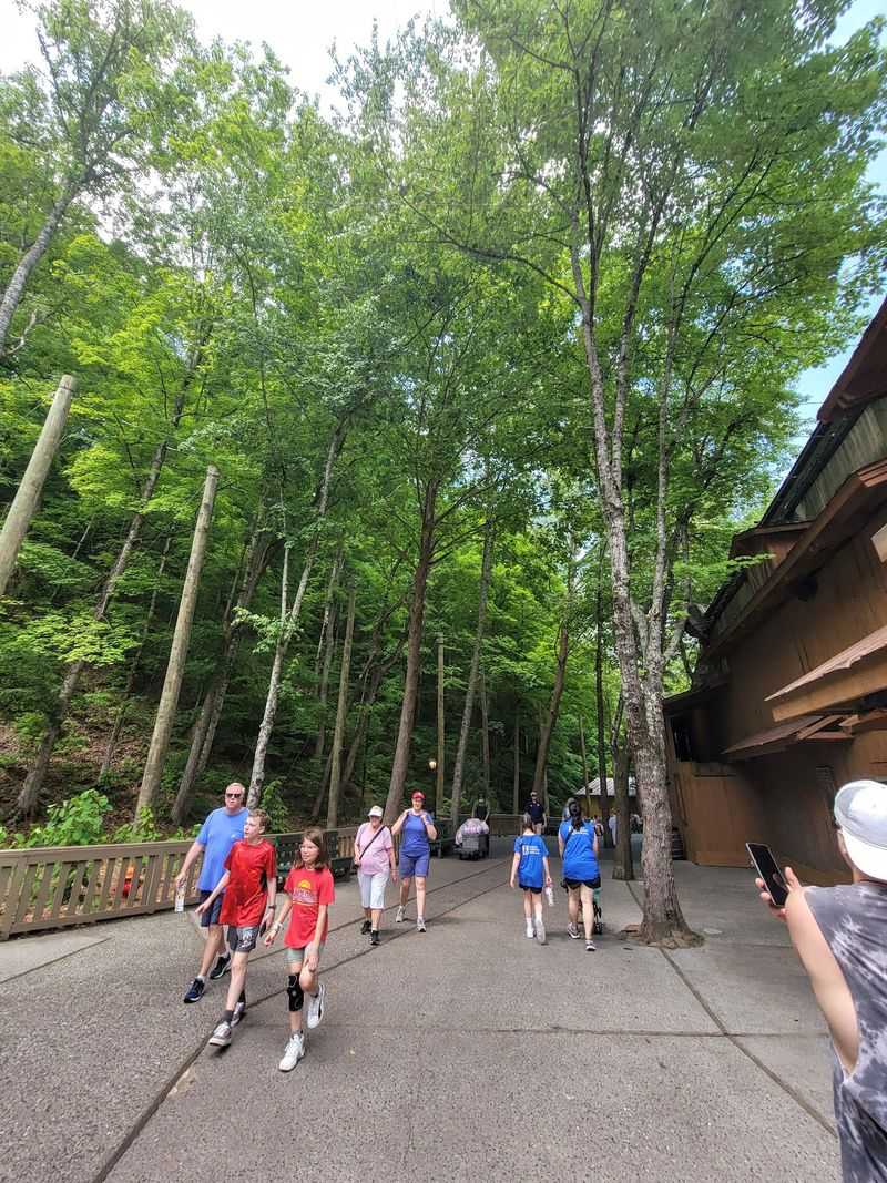 The Attraction Plenty Of Park Guests Walk Right Past
