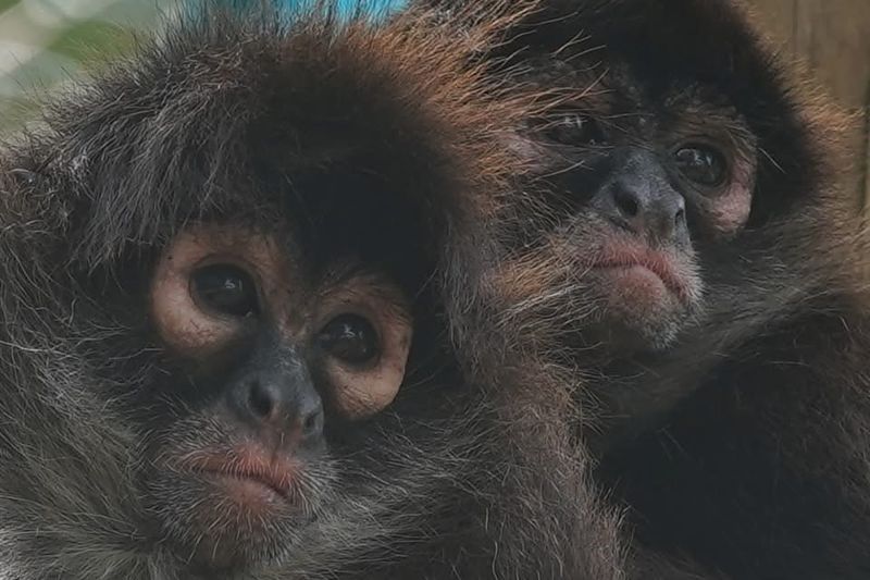 The Family Behind The Sanctuary