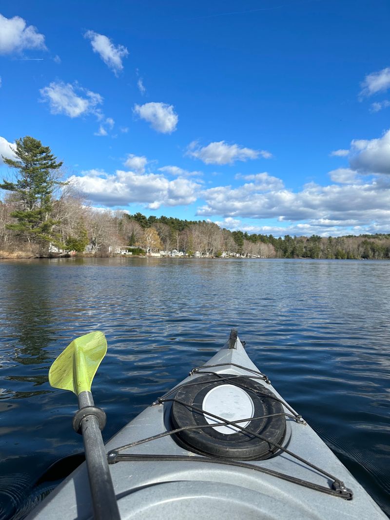 An Ecosystem That Thrives On Cold And Clarity