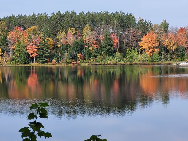 Lakes, Wildlife, And The Sounds Of The Northwoods