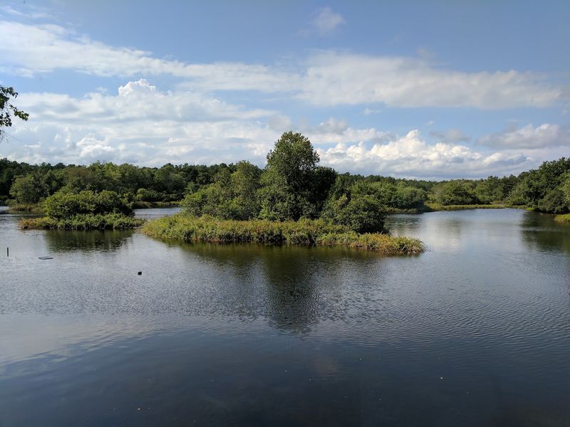 Meet Quogue Wildlife Refuge, The East End's Quiet Giant